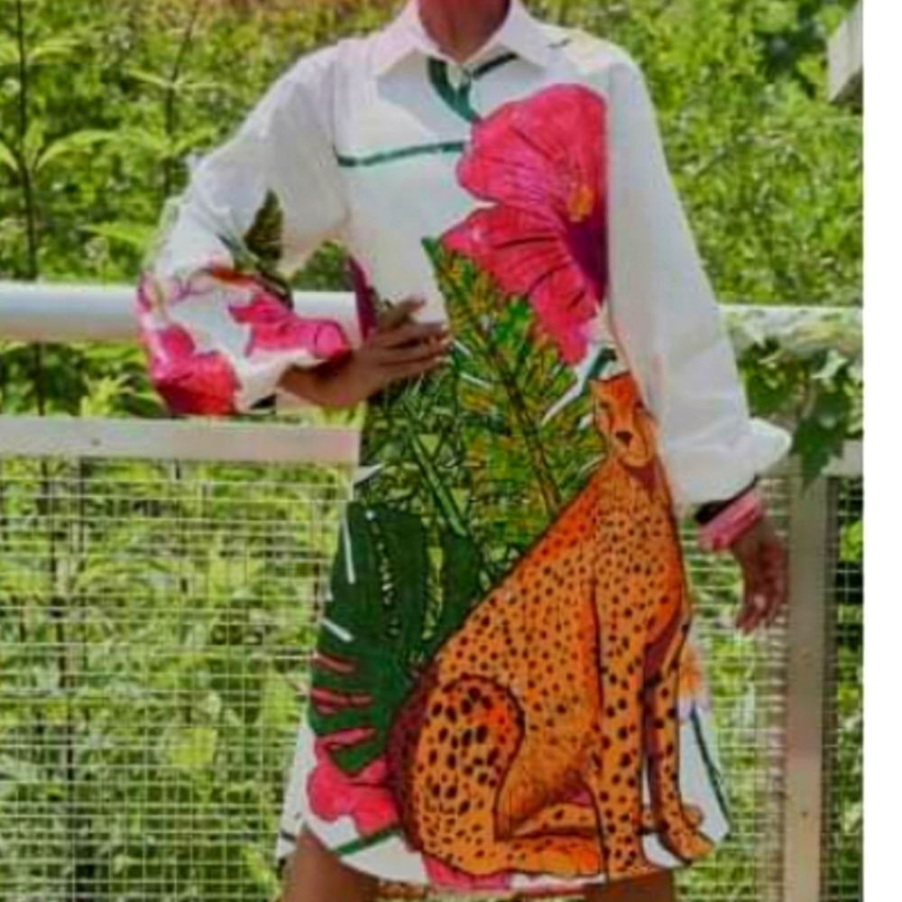 Sassy Jones Shirtdress